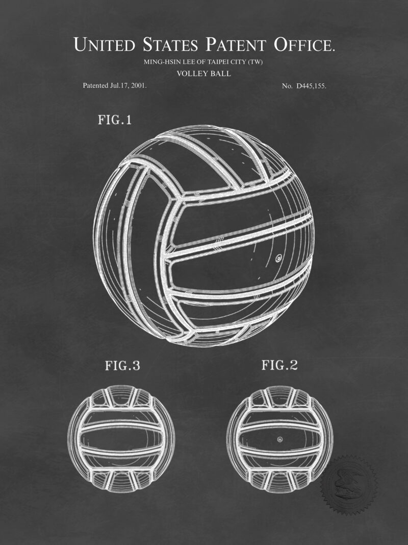 Game Ball | 2001 Volleyball Patent