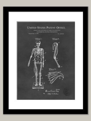 Skeleton Teaching Device